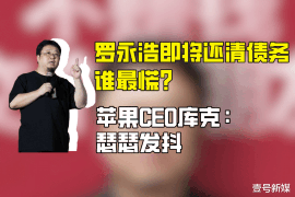 阳江融资清欠服务